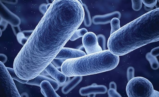 
					Antimicrobial Resistance: A Silent Killer Threatening Africa’s Future