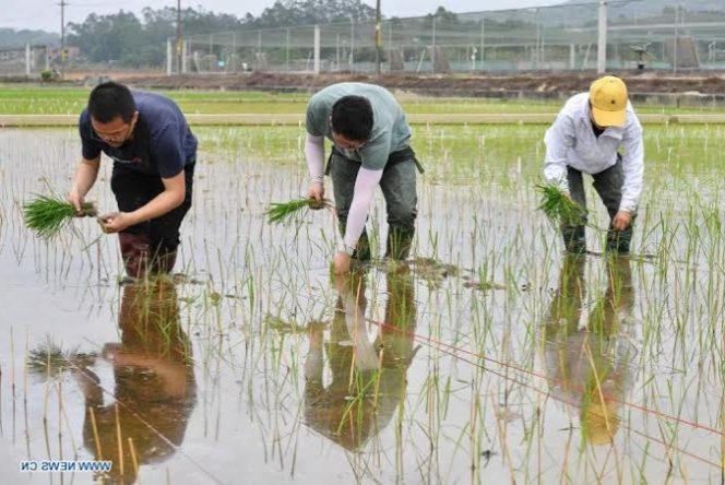 
					China’s Youth Unemployment Crisis: A New Generation Seeks Escape in the Countryside